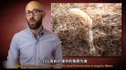 1683884569745510.png 圖片 11.png